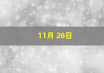 11月 26日